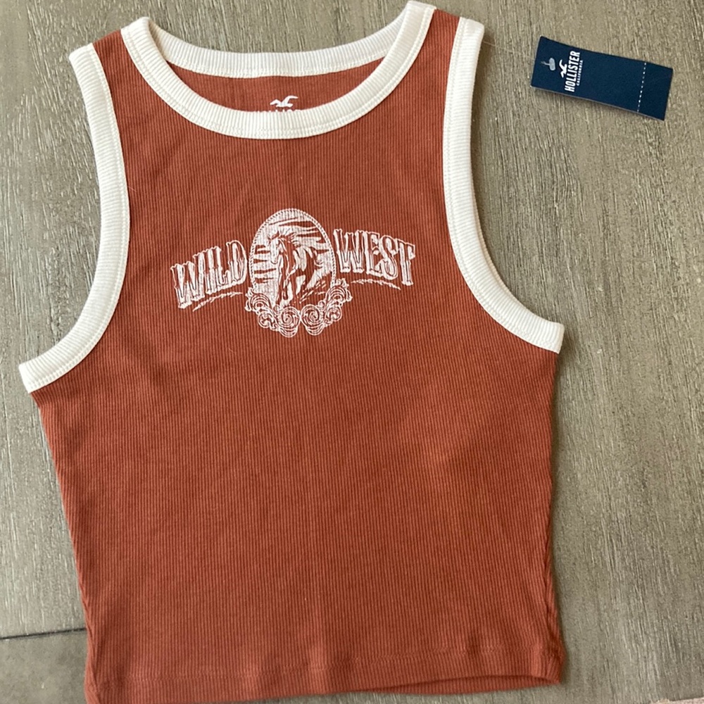 Hollister Size XXS Wild West Burnt Orange Cropped Tank Top